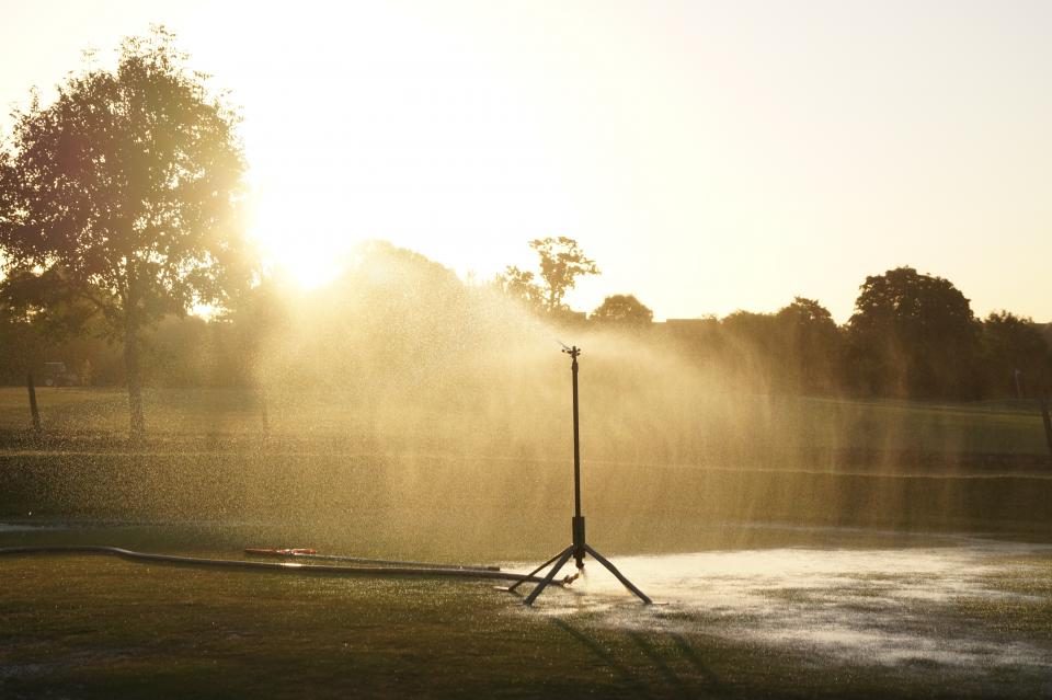 A lawn sprinkler head spraying water across green grass in afternoon sunlight
