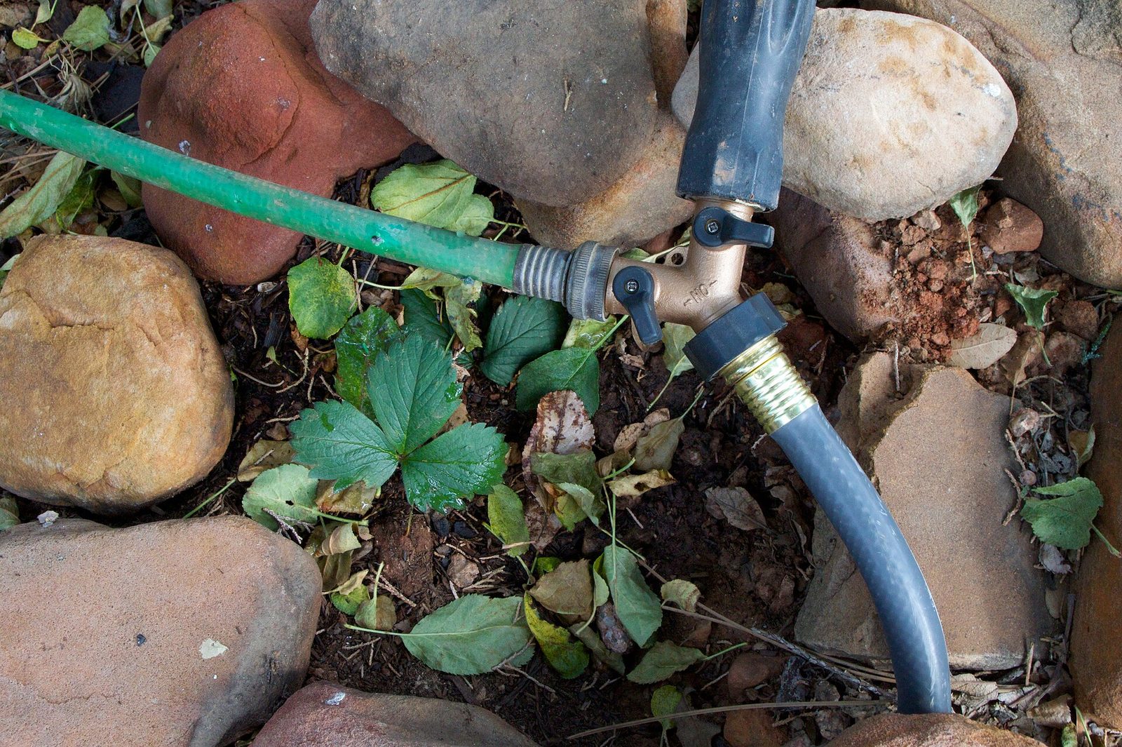 Sprinkler Controller Replacement by the Blackland team
