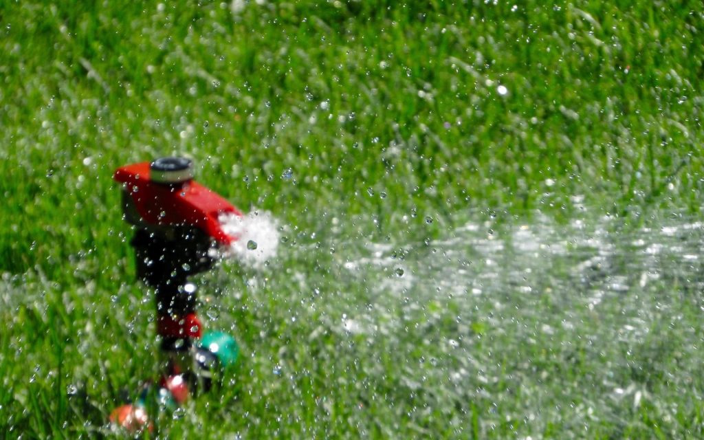 Sprinkler Head Replacement by the Blackland team
