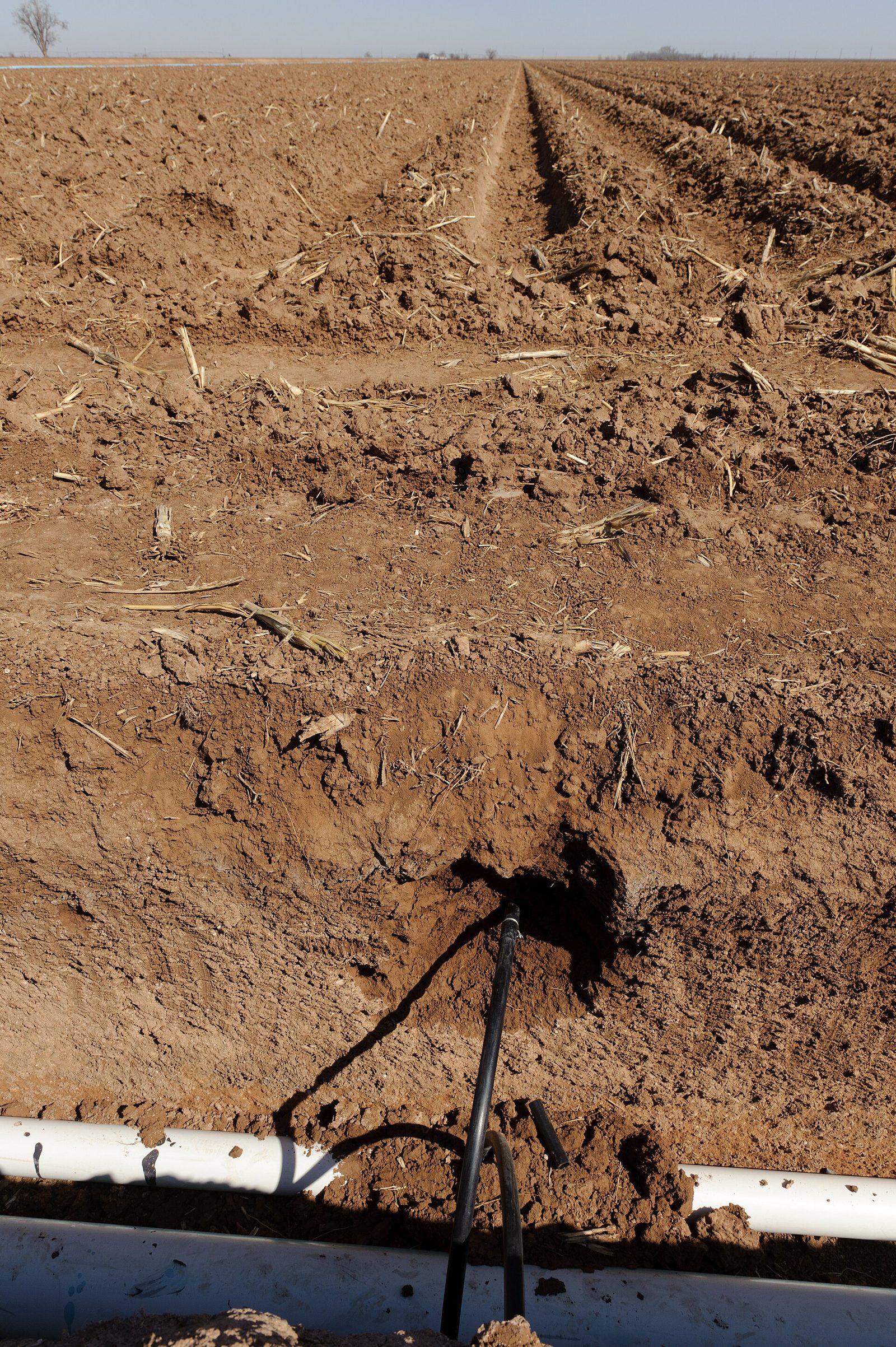 Sprinkler Wire Trace and Repair by the Blackland team